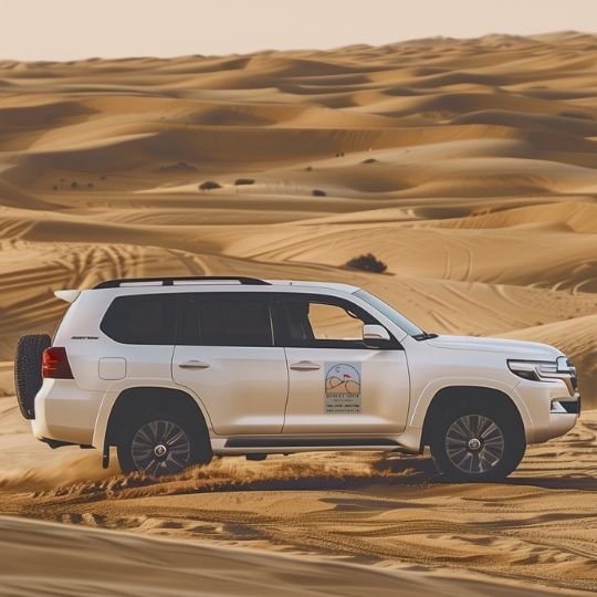 Dubai Trip Cost From India: Amazing All-Inclusive Travel Guide 6 VIP desert Safari Dubai