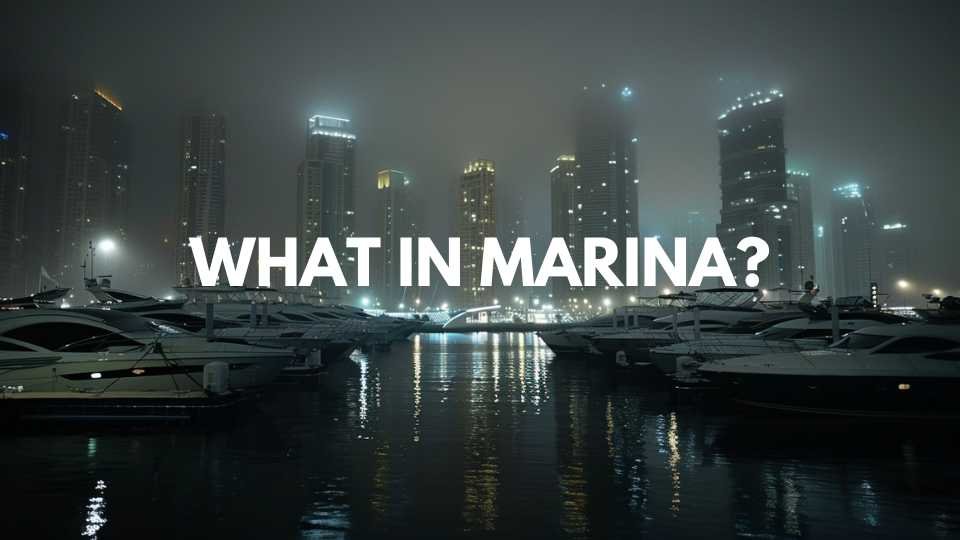 Discover Dubai Marina: Why Dubai Marina in 2024? 3 What Can You Do at Dubai Marina?